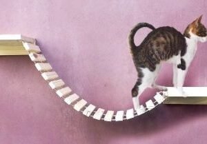 Puente de madera para gatos